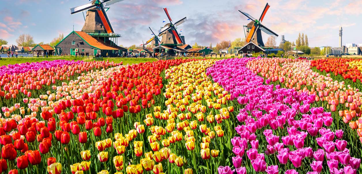 Belasting in Nederland 2026: schijven en kortingen